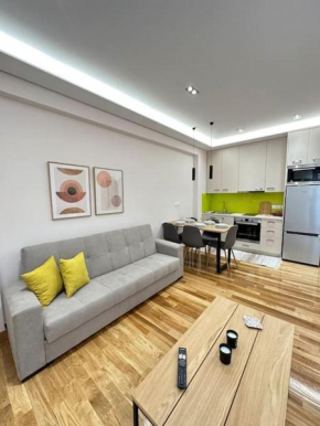 A fully renewed modern apartment